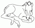 coloriage cheval 03