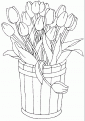 coloriage tulipe 18