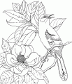 coloriage magnolia 08