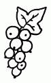 coloriage groseille 03