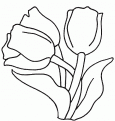 coloriage tulipe 12