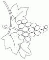 coloriage raisin 07