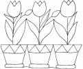 coloriage tulipe 04