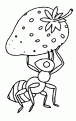 coloriage fraise 04