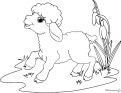 coloriage Mouton de Paques