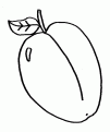 coloriage prume 01