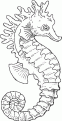 coloriage hippocampe 12