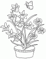 coloriage orchidee 07