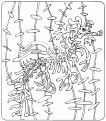 coloriage hippocampe 17