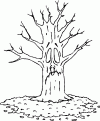 coloriage arbre 22