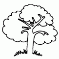 coloriage arbre 17