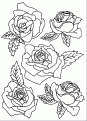 coloriage rose 15
