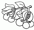 coloriage cerise 16
