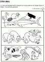 Apprendre tout avec les aminaux 030