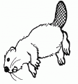 coloriage castor 01