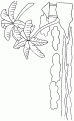 coloriage ile deserte paradis 04