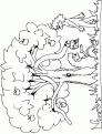 coloriage arbre 14