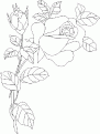 coloriage rose 02