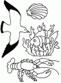 coloriage de la mer 12