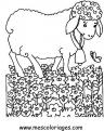 coloriage mouton 63