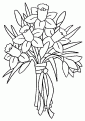 coloriage jonquille 05