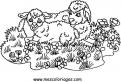 coloriage mouton 67