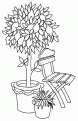 coloriage citron 05