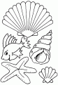coloriage coquillage 11