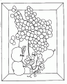 coloriage coupe de fruit 08