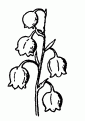 coloriage muguet 11
