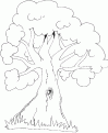 coloriage arbre 05