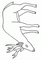 coloriage cerf 05
