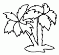 coloriage arbre 16