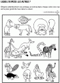 Apprendre tout avec les aminaux 007