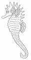 coloriage hippocampe 21