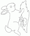 coloriage lapin 36