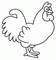 coloriage coq 02