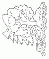 coloriage arbre 27