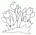 coloriage tulipe 11