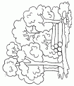 coloriage arbre 26