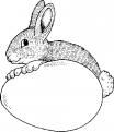 coloriages-paques-079