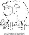 coloriage mouton 20