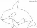 coloriage orque 32