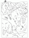dugongs