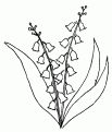 coloriage muguet 05