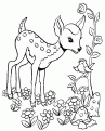 coloriage faon 04