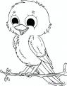 coloriage-oiseau-19
