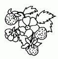 coloriage fraise 07
