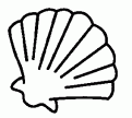 coloriage coquillage 01