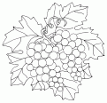 coloriage raisin 11